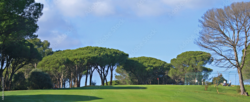 Naklejka premium golf