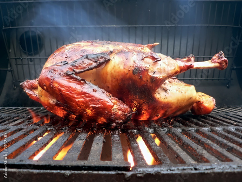 grilled - marinated turkey on the grill 2