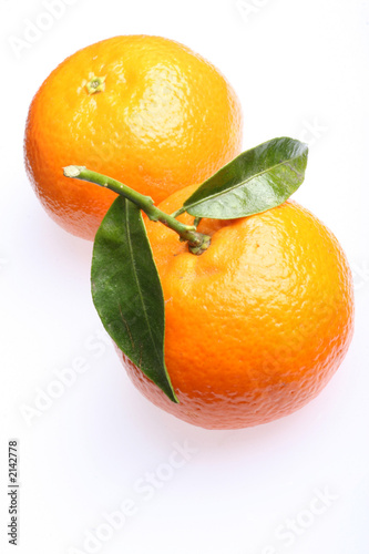 tangerine