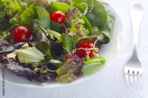salad in white bowl closeup