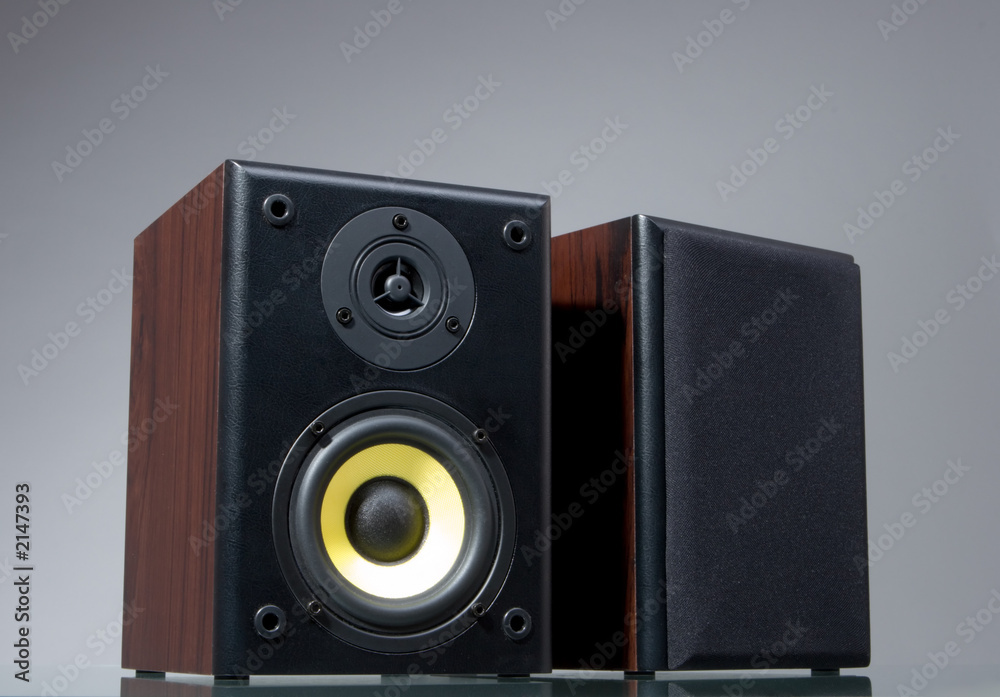 audio speakers on gray background with reflection audio speakers on gray background with reflection