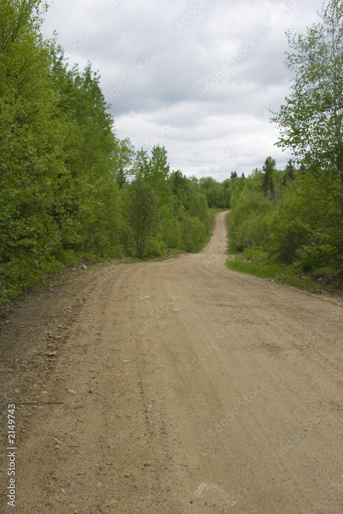 Fototapeta premium dirt road