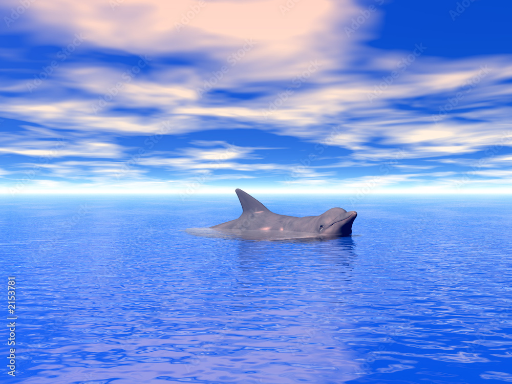 Fototapeta premium swim_dolphin