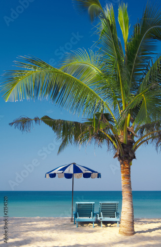 palm chairs & umbrella © Dmitry Ersler