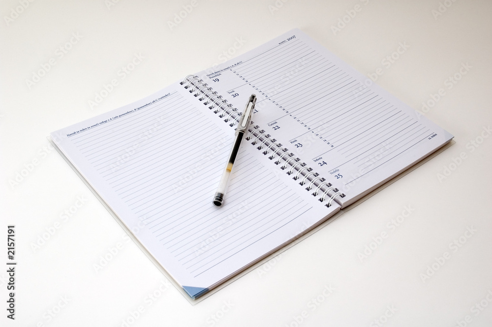diary and pen diary and pen