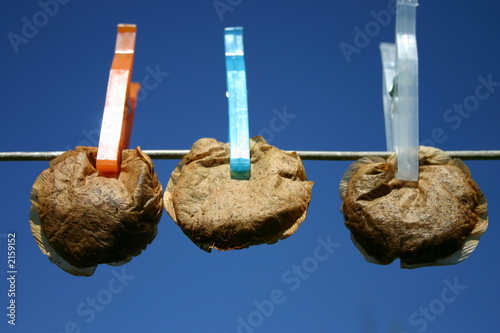 recycled tea bags
