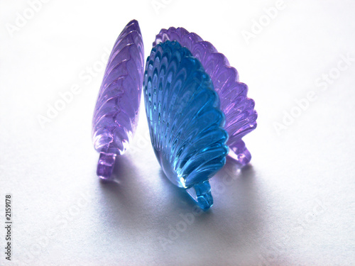 shell photo