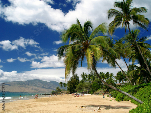Beach in Mui hawaii, tropical island vacation