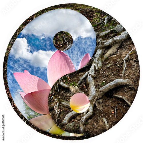 Fotografie yin-yang 5