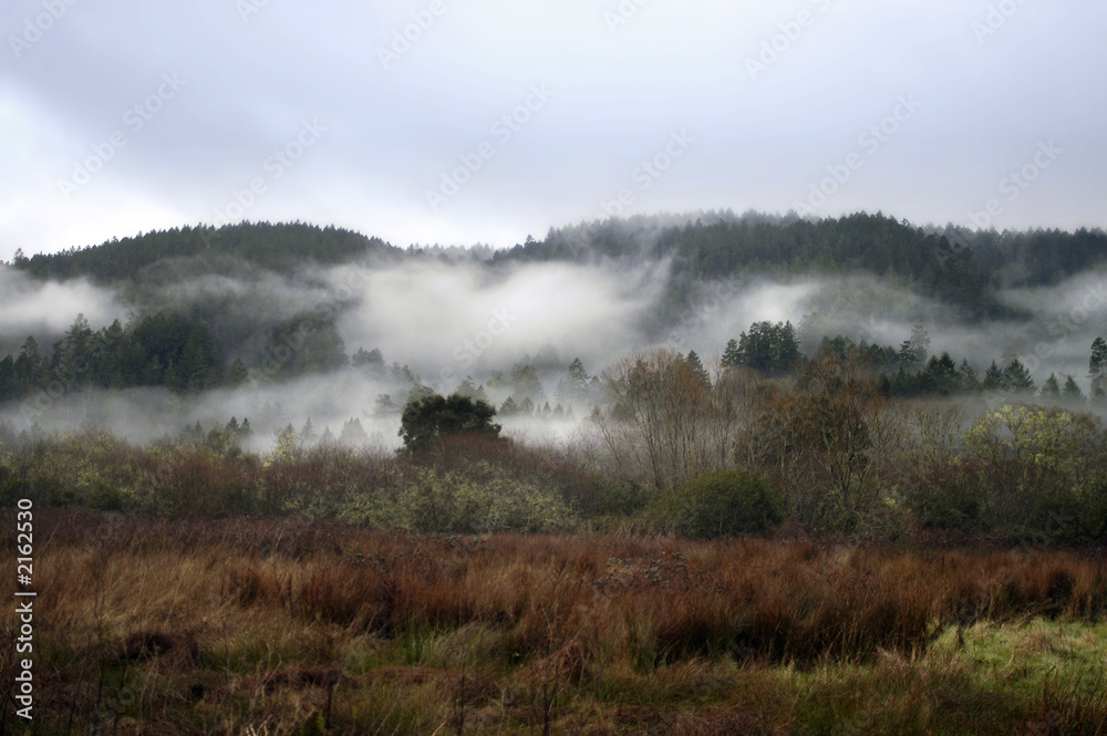 misty valley