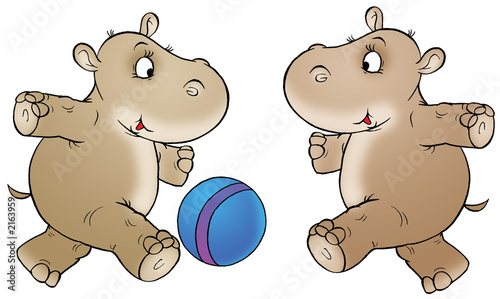 hippopotamus
