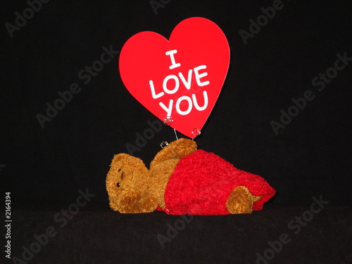 Foto relaxing bear with love