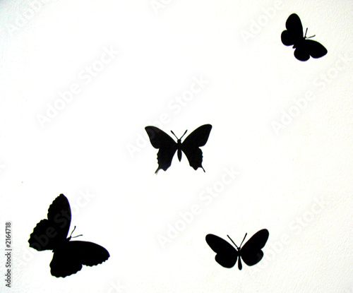 papillon