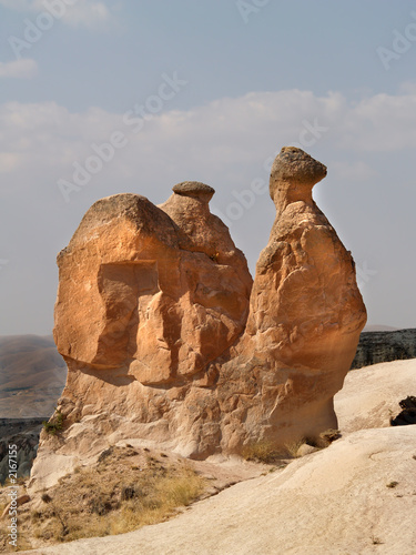 roca con forma de camello