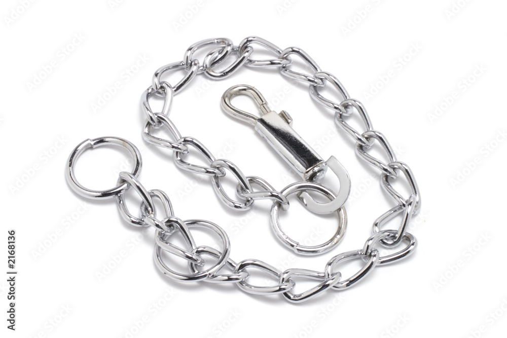 Obraz premium dog chain collar