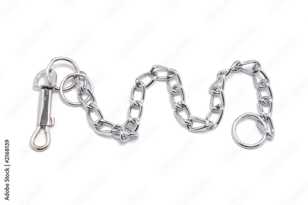 dog chain collar