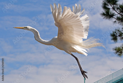 in flight