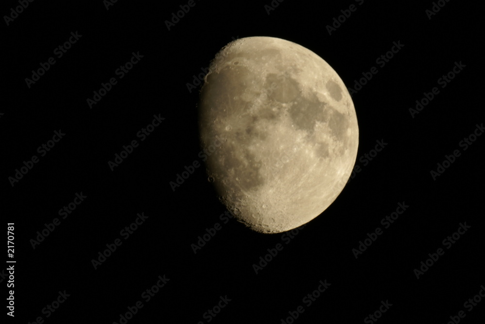lune lune