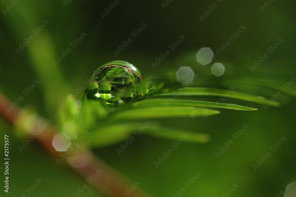 goutte StockFoto Adobe Stock