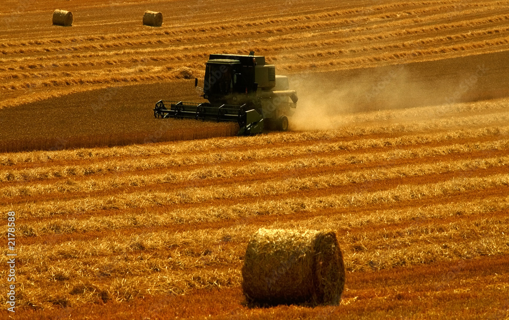 Obraz premium combined harvester