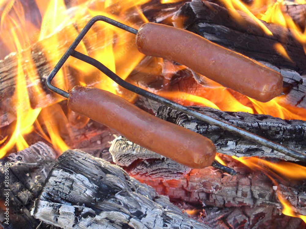 two hot dogs being roasted over fire Stock Photo Adobe Stock