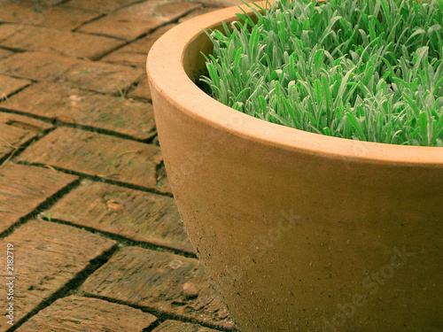 topf auf terrasse