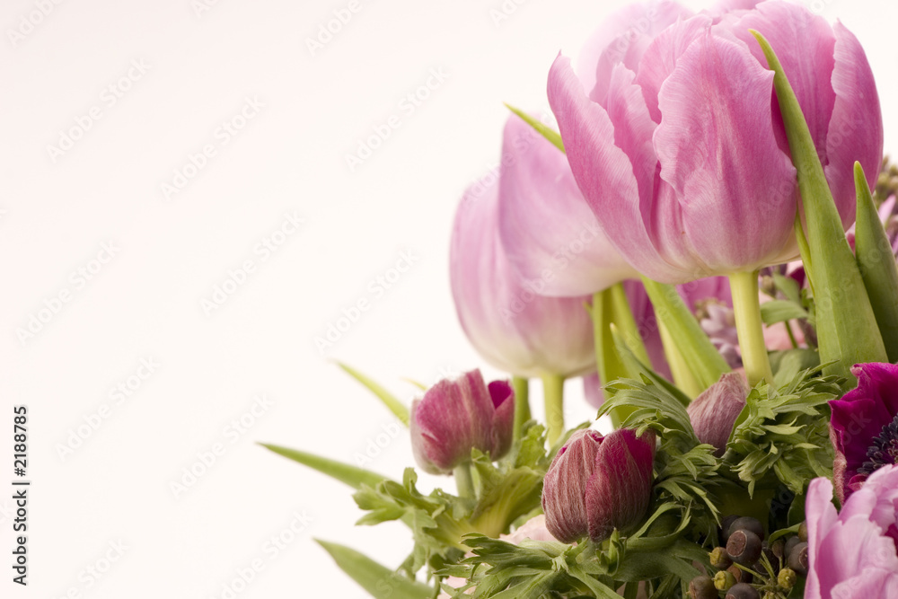 tulip, anemone, lilac & berries