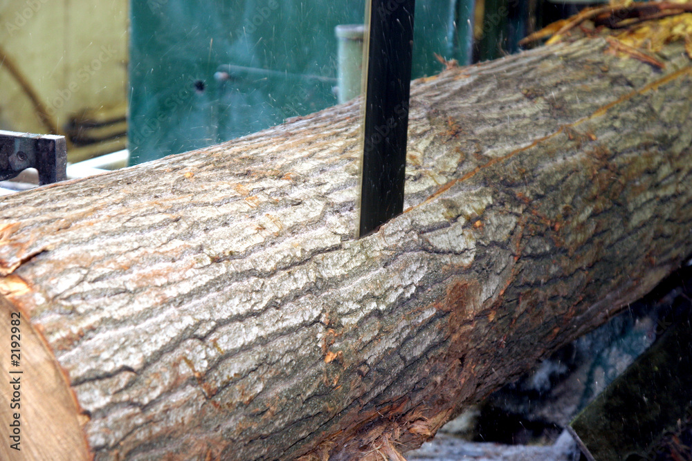 Fototapeta premium saw cutting wood