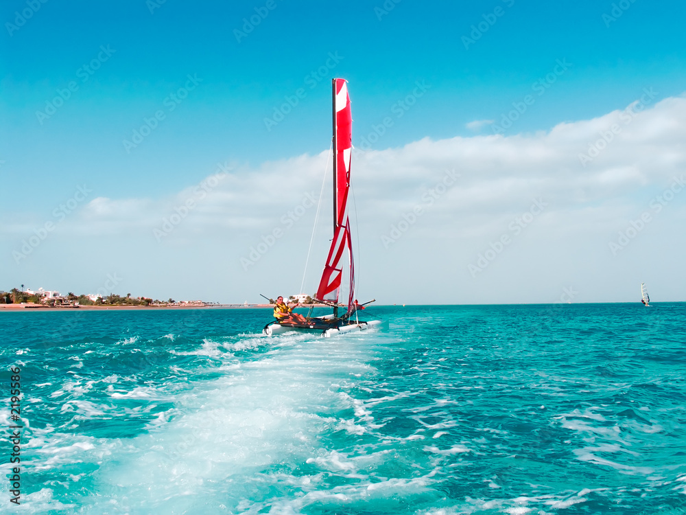 Naklejka premium red sea