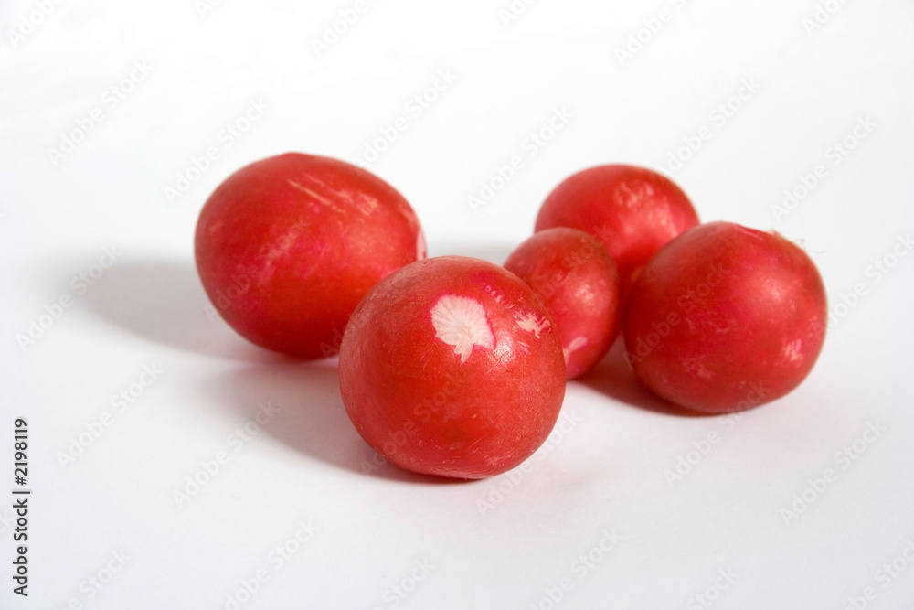 radish radish