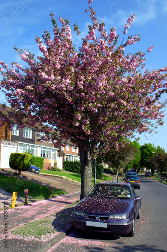 suburban spring