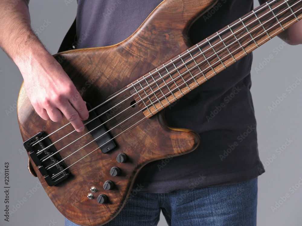 bass guitar musician 1 bass guitar musician 1