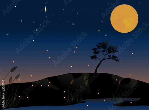 fireflies