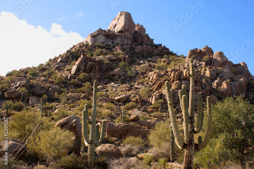 desert scene with boulders and saguaros