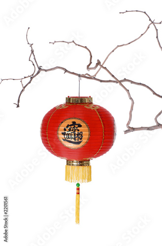 chinese lantern