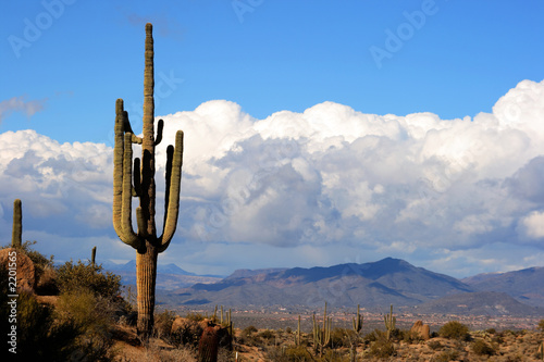 high desert with cactus,mountains and clouds photo