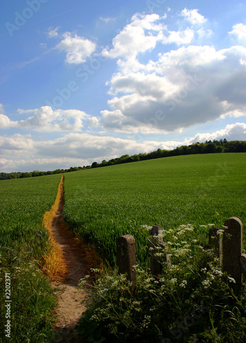 straight path through farmland