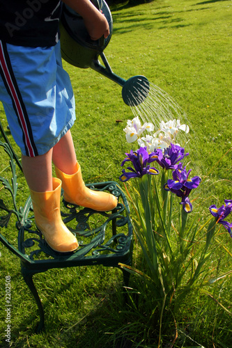 young gardener