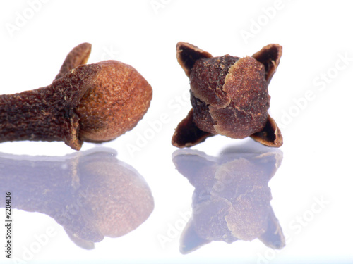 the two cloves