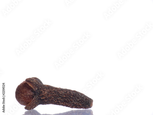 single clove