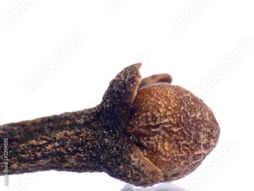profile of clove