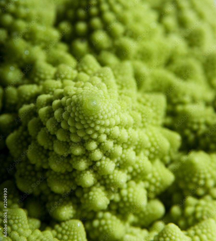 strange cauliflower strange cauliflower