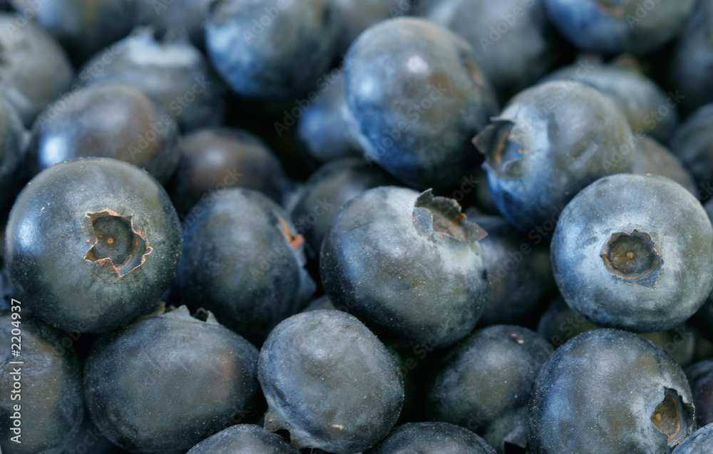 organic blueberries organic blueberries
