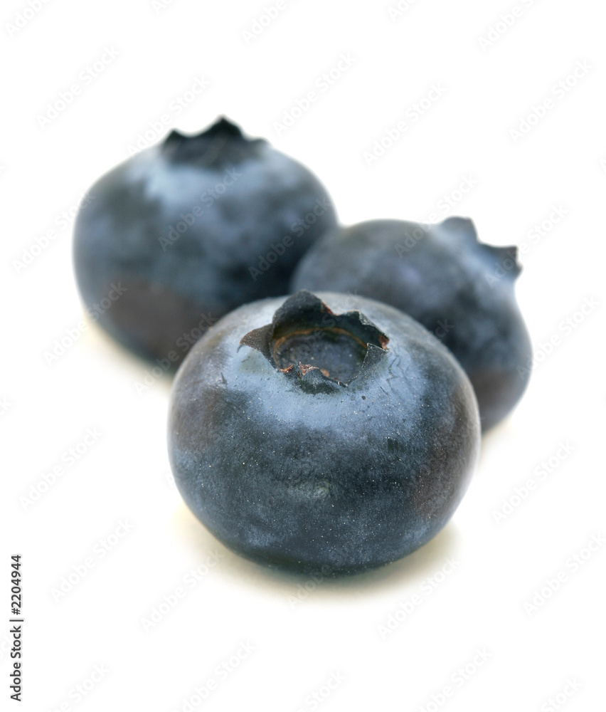 Obraz premium blueberries trio