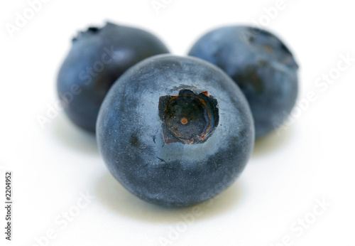 blueberries trio