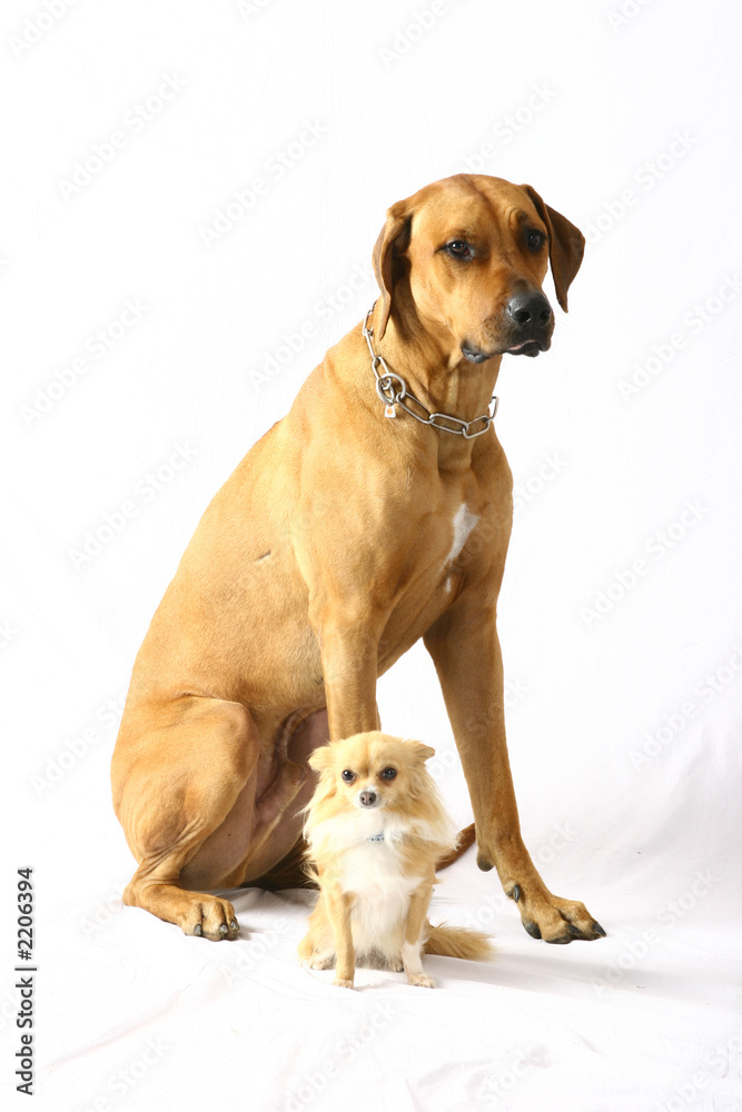 together together