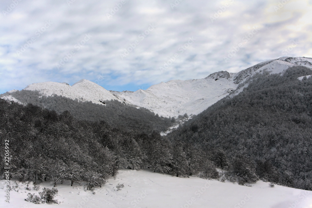 Obraz premium mountains with snow