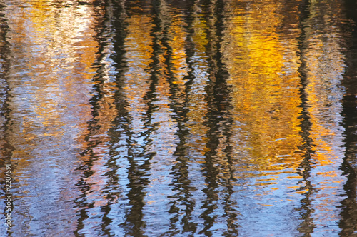 autumn in the river