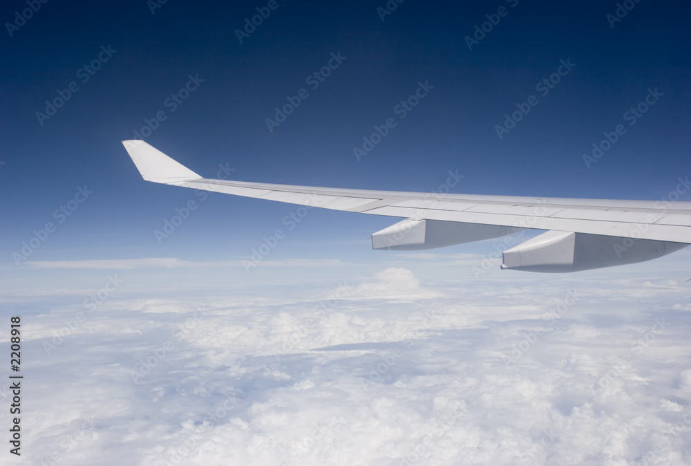 Obraz premium flying