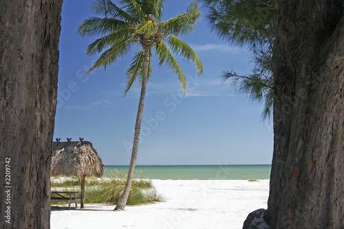 tropical paradise
